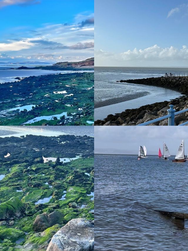 廣島：在時光中沉思與綻放的城市