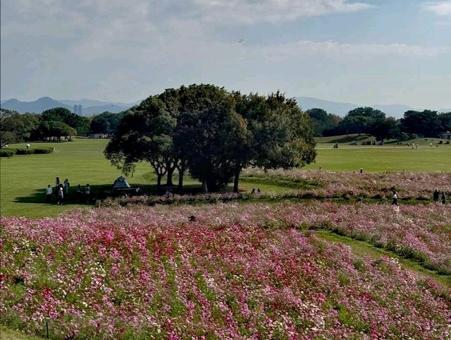 海之中道海濱公園