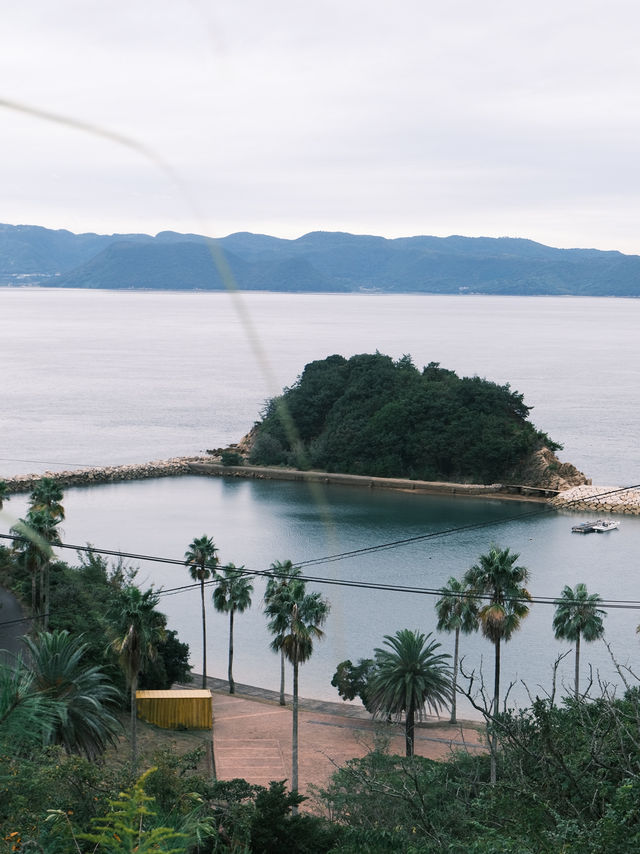 海之中道海滨公園福岡寶藏休憩之地放鬆必備