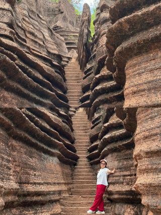No wonder it's the undersea world from 500 million years ago 🪨 Red Stone Forest Guide 