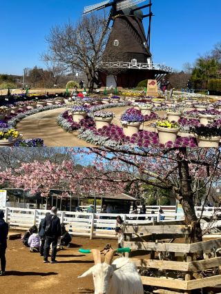 Super detailed travel guide for Funabashi, Japan