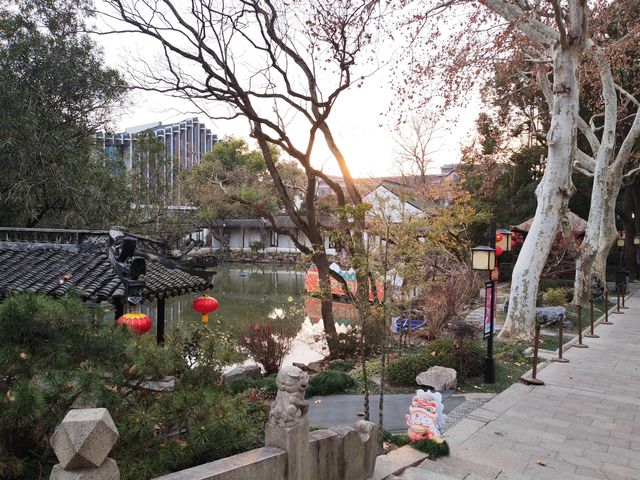 醉白池臘梅開了