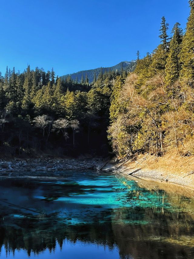 3天玩轉九寨溝-黃龍風景名勝區 透給你的旅遊必備秘笈