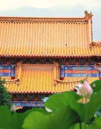 長沙小眾寶藏寺廟清竹禪寺遊玩攻略