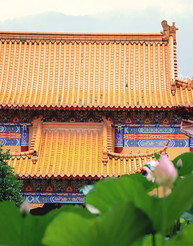 長沙小眾寶藏寺廟清竹禪寺遊玩攻略