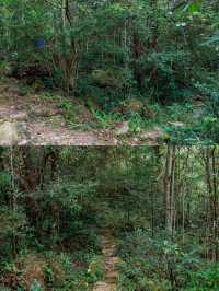 2日暢遊千島湖-黃山 超詳細攻略助你玩轉雙城