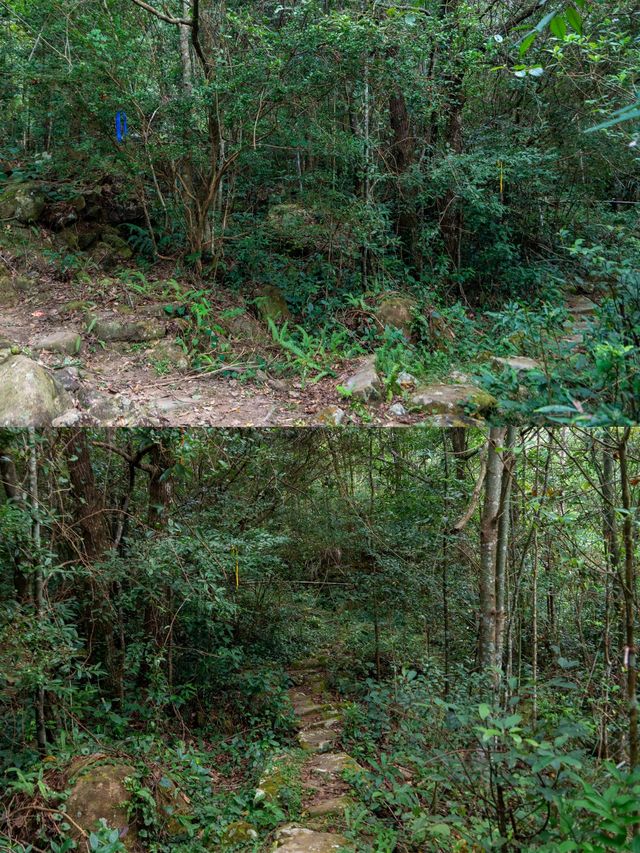 2日暢遊千島湖-黃山 超詳細攻略助你玩轉雙城