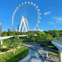 打卡深圳歡樂港灣摩天輪🎡 出片率爆表❗️
