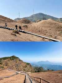 沒想到廣西還有這樣四季美景的地方