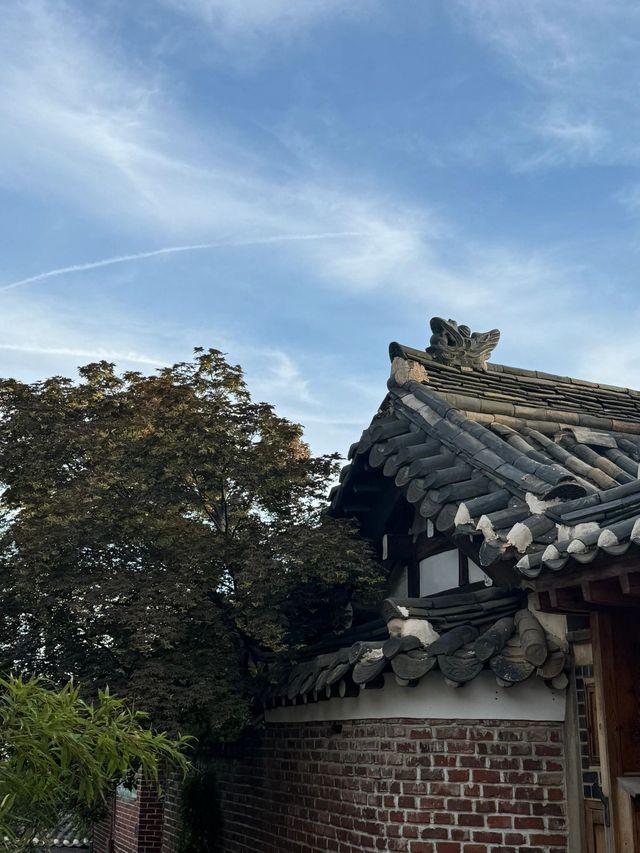 6日深度遊 韓國必去景點大揭秘