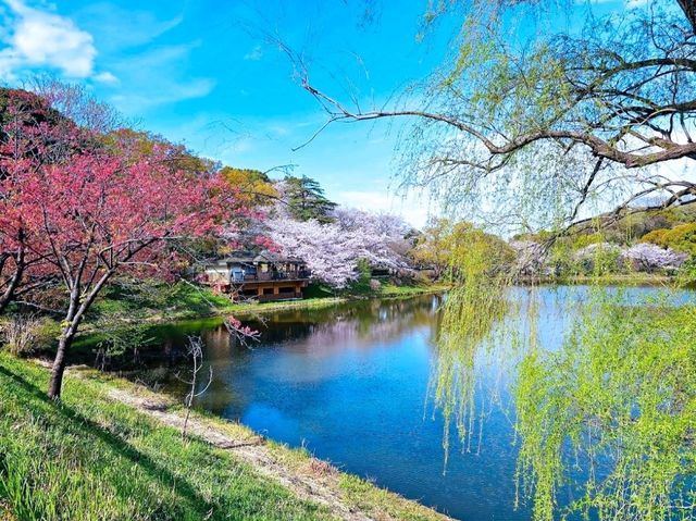 三池公園