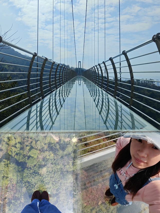 南丹山森林王國 | 邂逅自然與好運的寶藏之旅
