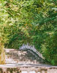 走進運城永樂宮，賞千年藝術風華