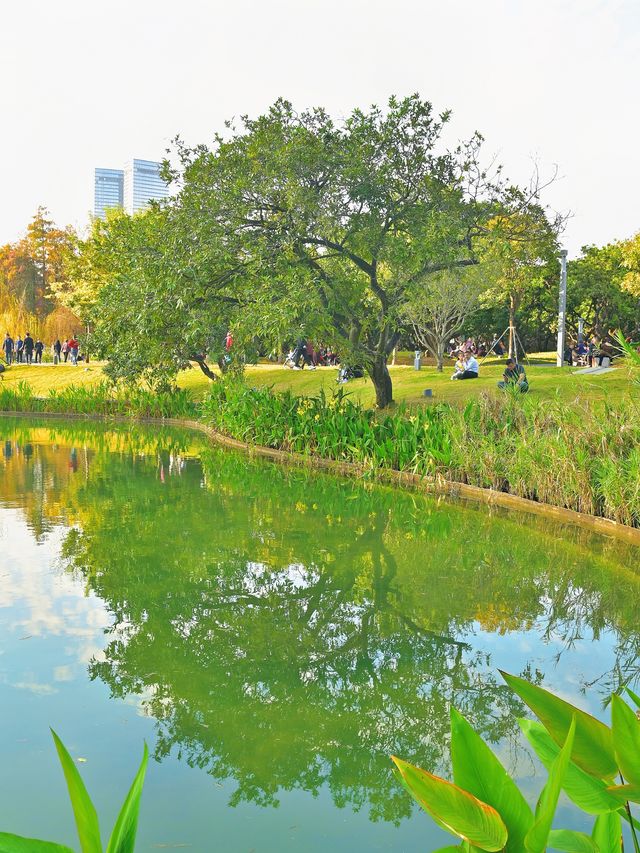 四海公園：飲咖啡、逛公園、曬太陽……