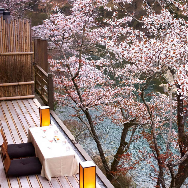 🌸奔赴伊豆河津櫻的浪漫之約