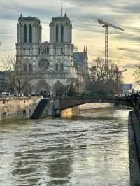Notre-Dame Cathedral Reopens with Changes
