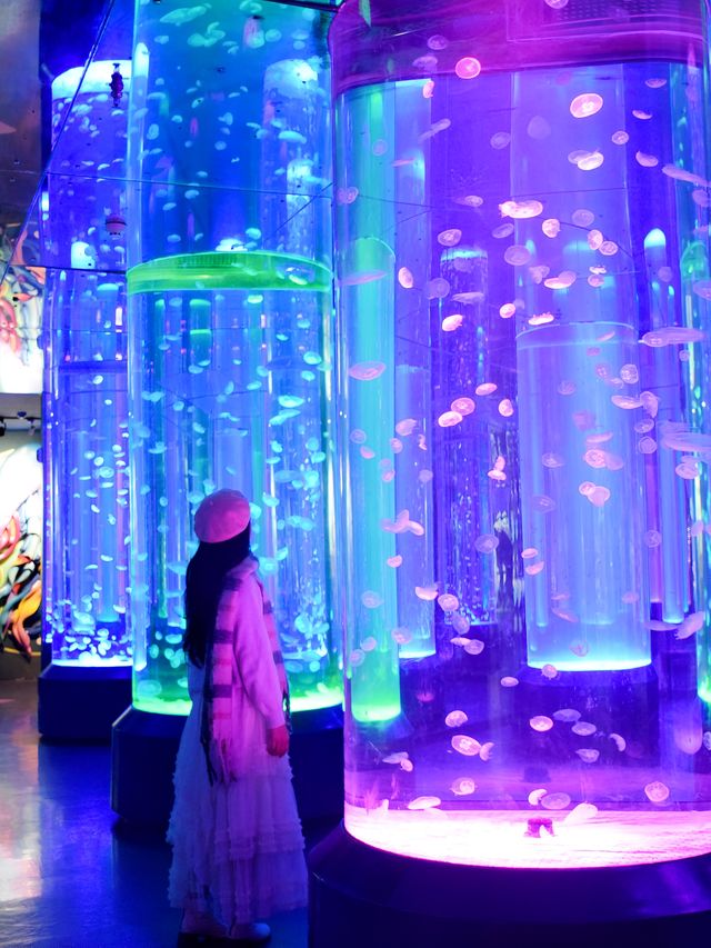 成都親子遊｜海洋館的浪漫，由海洋館呈獻！