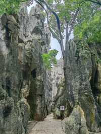 6日暢遊昆明-大理市-麗江 探秘古鎮風情 不虛此行