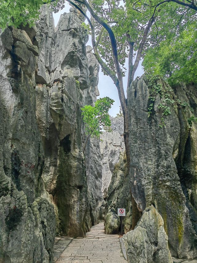 6日暢遊昆明-大理市-麗江 探秘古鎮風情 不虛此行