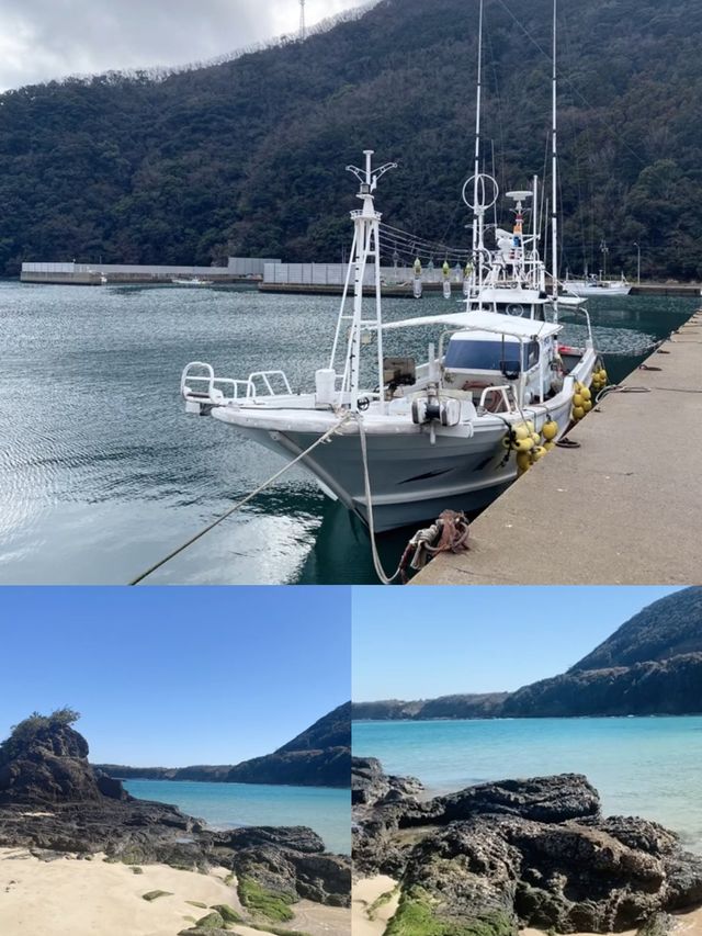 日本對馬市