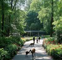 長春動植物公園：自然生靈的奇妙天地