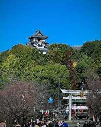 日本犬山市·犬山城—俯瞰木曾川的日本最古老天守
