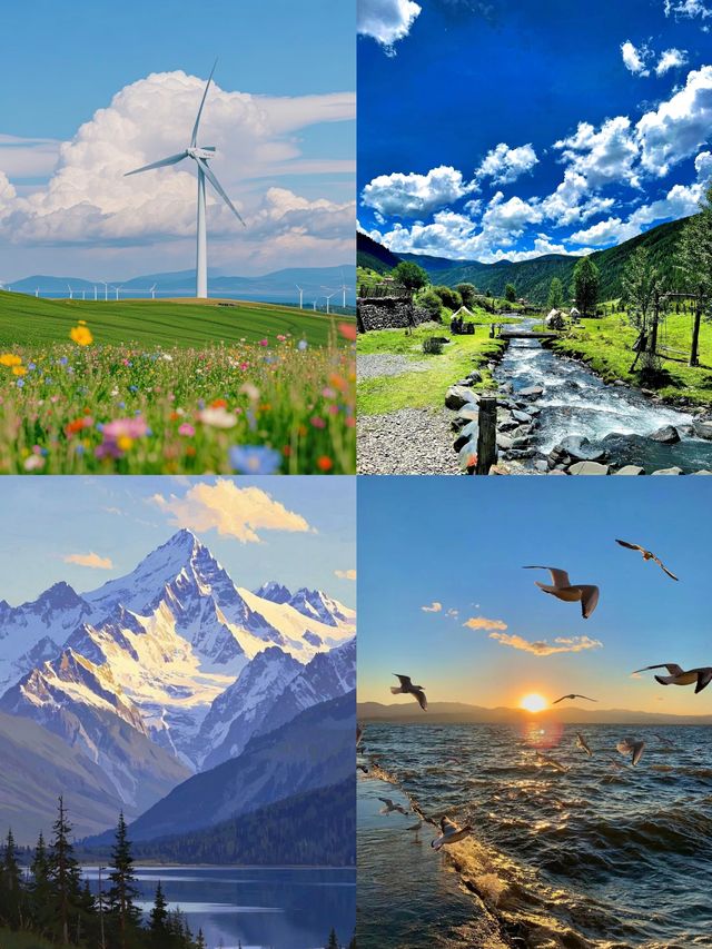 達可之旅 | 探索未知的奇幻之旅