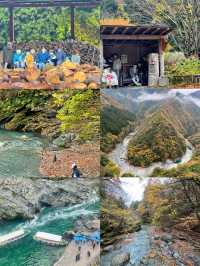 德島：小眾日本的隱世瑰寶