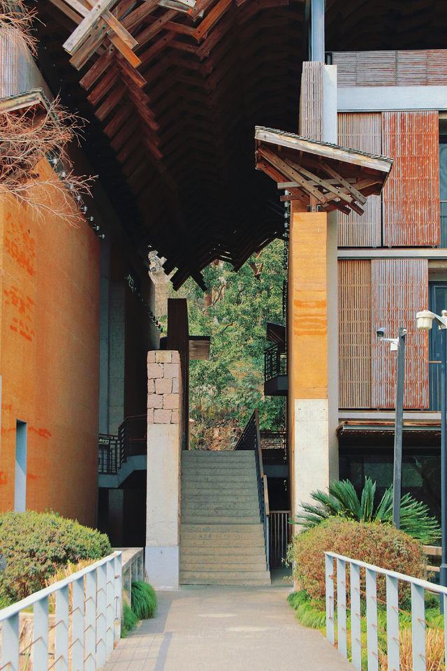 杭州·中國美術學院｜逛不完，根本逛不完