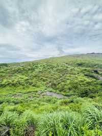 小長假遊日本 看這篇攻略就夠了