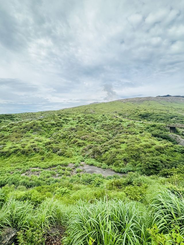 小長假遊日本 看這篇攻略就夠了