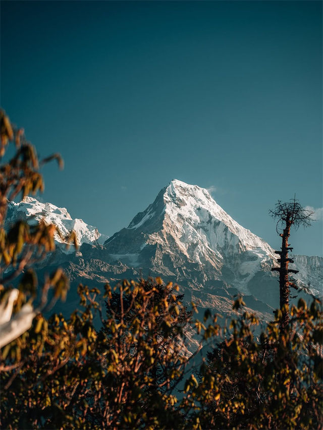 Kokhe Dand博克拉隱秘雪山觀景台