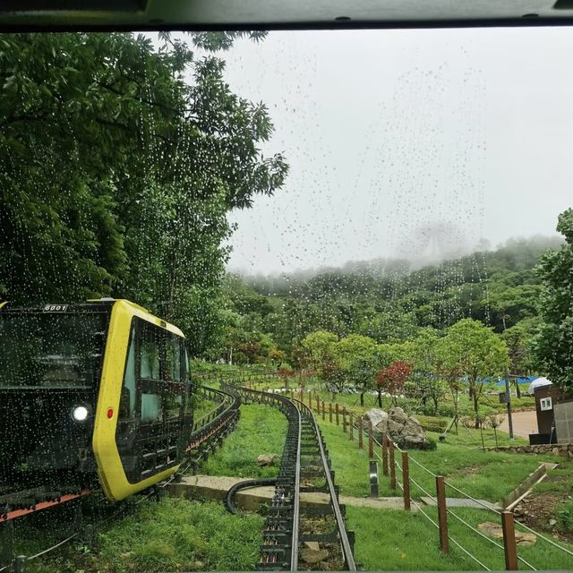 斜坡滑車+月尾島，小眾玩法一鍵解鎖！