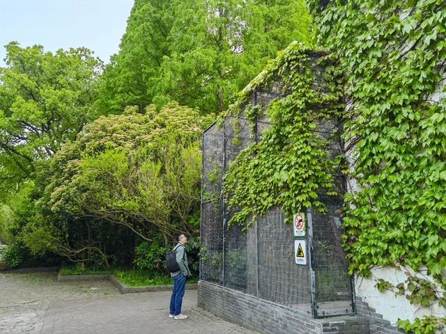 上海動物園，春遊好去處