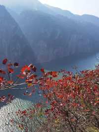 長江三峽－重慶6日遊 超詳細攻略 看這篇不踩雷