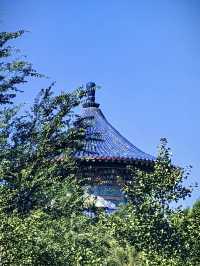 長沙-張家界-天門山長者遊玩超詳細指南