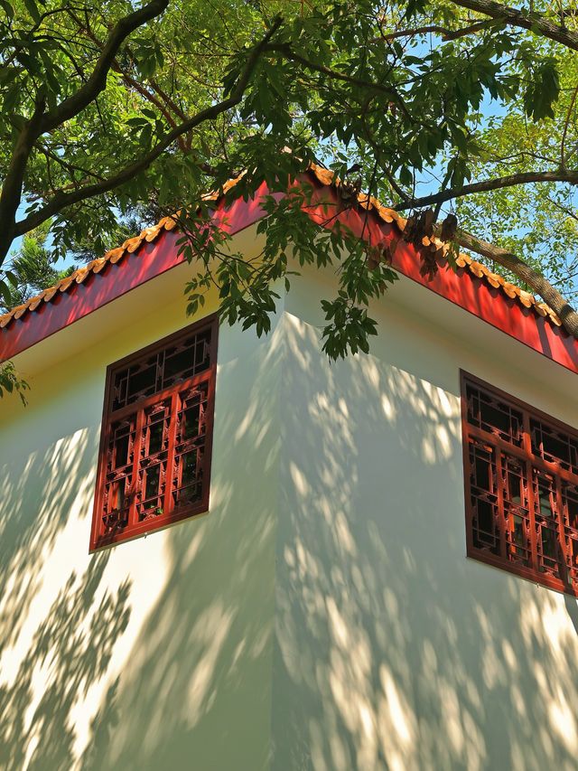 福州西禪寺｜鬧市中的千年古剎
