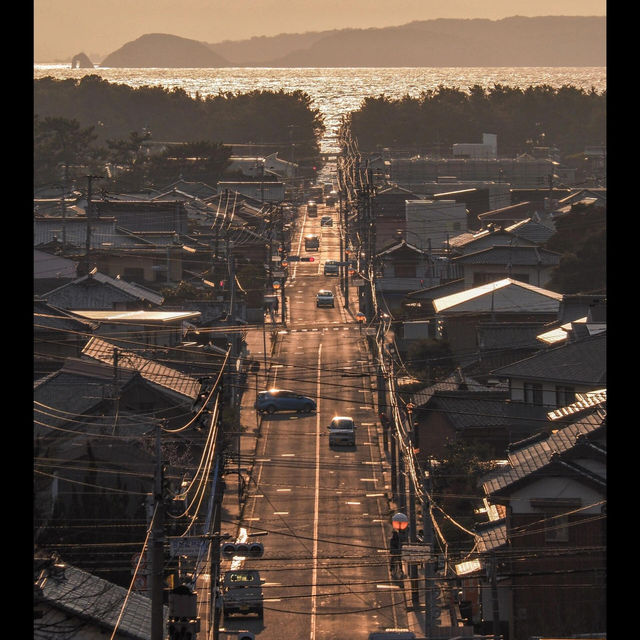 日本｜福岡周邊「光之道」追光攻略，錯過等半年