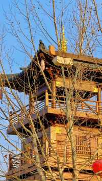 《太白山國家森林公園，這些實用資訊你還不知道？》