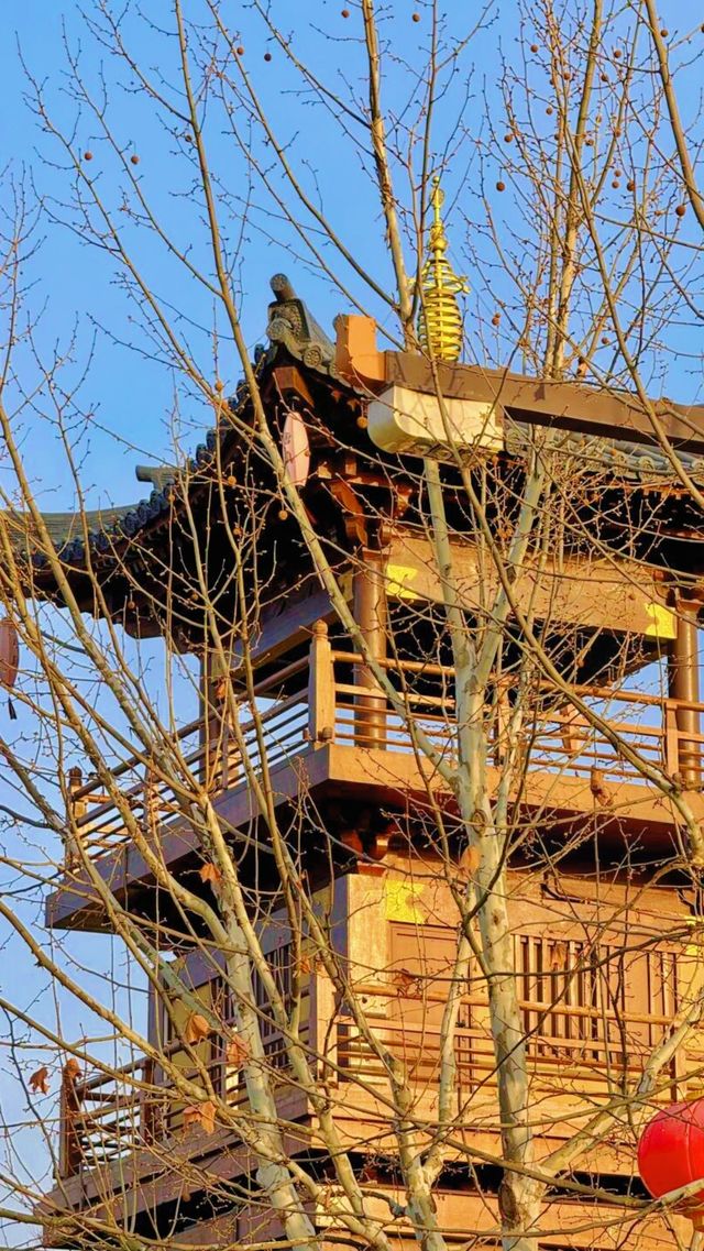 《太白山國家森林公園，這些實用資訊你還不知道？》