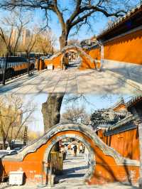 擁有 400 多年歷史的皇家古寺、祈求健康長壽最靈驗的寺廟