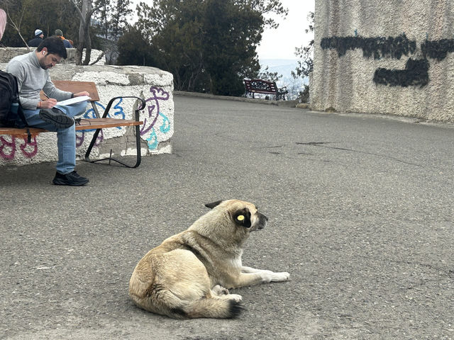 格魯吉亞旅遊避坑指南