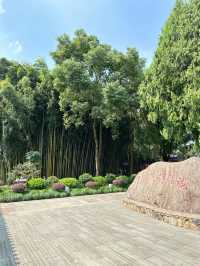 鷹潭-撫州3日遊 玩轉兩地不重樣