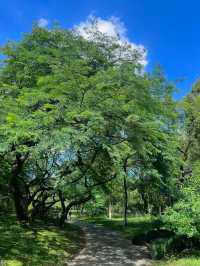 Discover the Beauty of West Lake with a 30,000-Step Adventure!