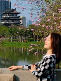 🌸全家一起去踏春｜廣州海珠湖🍀