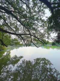 東山湖公園嘅中式美學