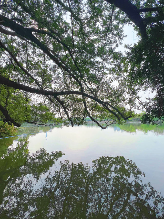 東山湖公園嘅中式美學