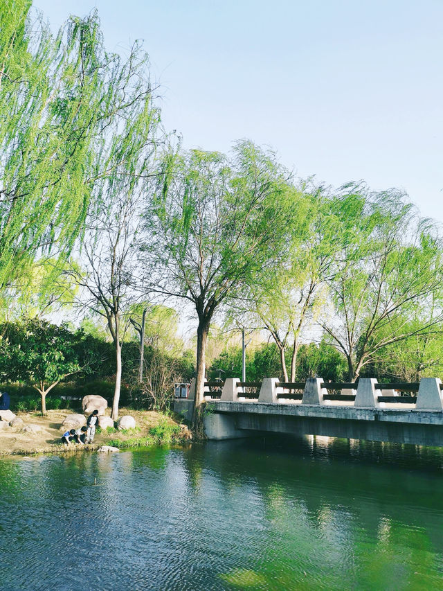 鄭州｜植物園｜中原綠意秘境與自然奇觀
