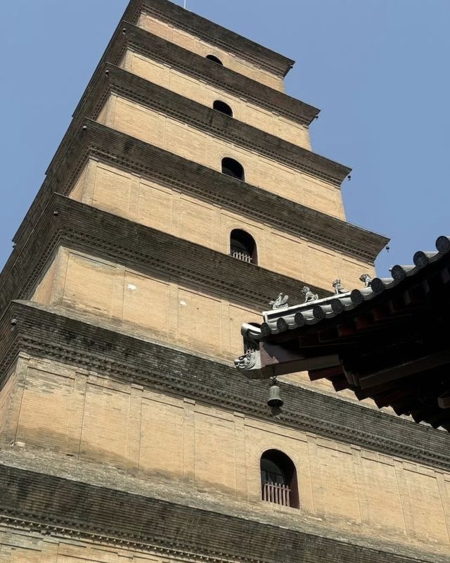 西安4天3晚深度遊！唐風少女的盛世奇遇～