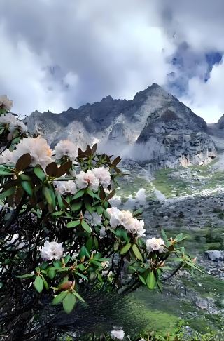 Поход в Сяосянлин, Сичан | Цветочное море, озеро Моху и фейерверки в деревне И